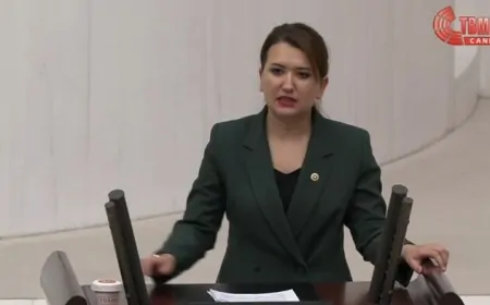 Gökçe Gökçen Göl: 'Anayasa'ya Karşı Suç İşleniyor, Halkın İradesi Gasp Ediliyor'