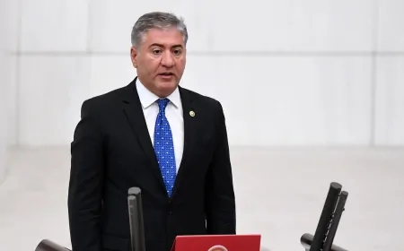 Murat Emir: 'AKP, Parlamento Geleneklerini Hiçe Sayıyor'