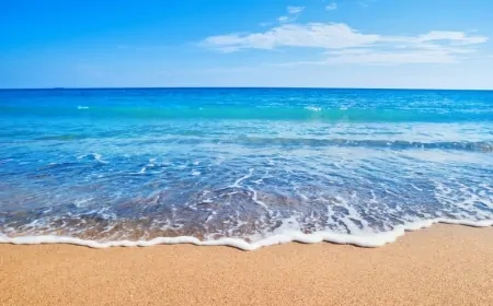 Marmaris’e Gelen Turistlerden Kent Vergisi Alınacak!