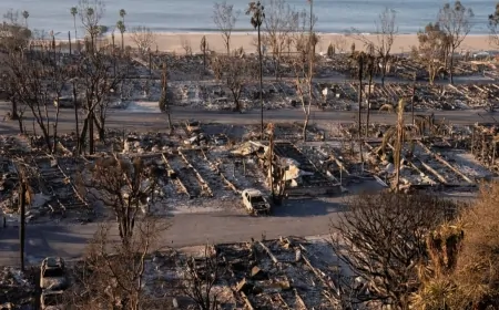 Los Angeles'ta Yangın Sonrası Kaos: Yağma Korkusu ve Silahlı Devriyeler