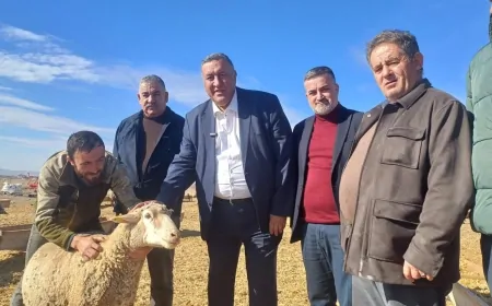 CHP Niğde Milletvekili Gürer: 'Hayvancılık Desteksiz Kaldıkça Kriz Derinleşiyor'