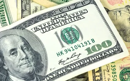 Serbest Piyasada Döviz Kurları Yükselişte: Dolar, Euro ve Sterlinin Güncel Durumu