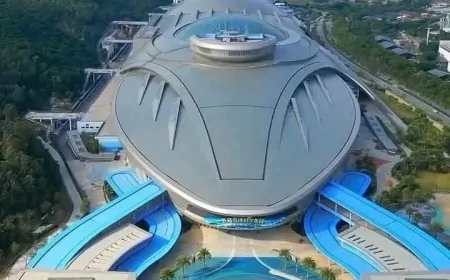 Çin Okyanus Bilimleri Müzesi: Denizlerin Gizemlerine Yenilikçi Bir Yolculuk