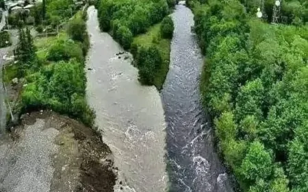 Aragvi Nehirleri: Gürcistan’ın Siyah ve Beyaz Doğal Harikası