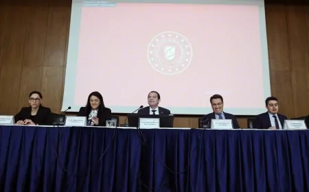 YEKA-GES Yarışmalarına Rekor Katılım: 67 Şirketten 146 Başvuru