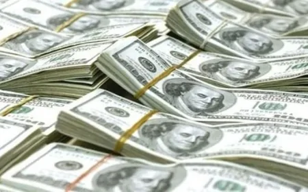 Dolar ve Euro Haftaya Yükselişle Başladı: Serbest Piyasa Rakamları