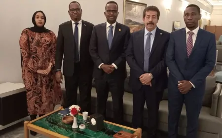 AK Parti ile Somali'deki Union for Peace and Development Partisi Arasında Dostluk Anlaşması İmzalandı