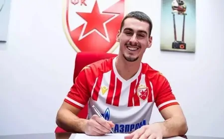 Fenerbahçe'nin Yeni Transferi Ognjen Mimovic Kimdir? İşte Kariyeri ve Detaylar