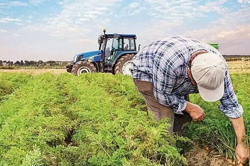 Paralar hesaplara geçiyor! Bakan Yumaklı: Çiftçi destek ödemeleri bankaya aktarılacak