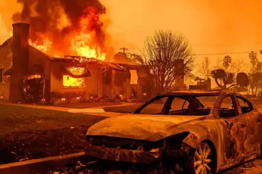 California'daki Orman Yangınlarında Ölü Sayısı 28'e Çıktı, Yeni Yangınlar Başladı