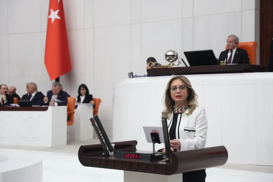 Filiz Kılıç: 'Kartalkaya Faciasının Sorumluları Hesap Vermeli'