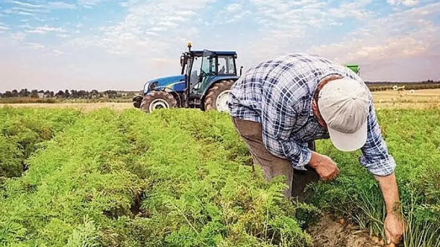 Paralar hesaplara geçiyor! Bakan Yumaklı: Çiftçi destek ödemeleri bankaya aktarılacak