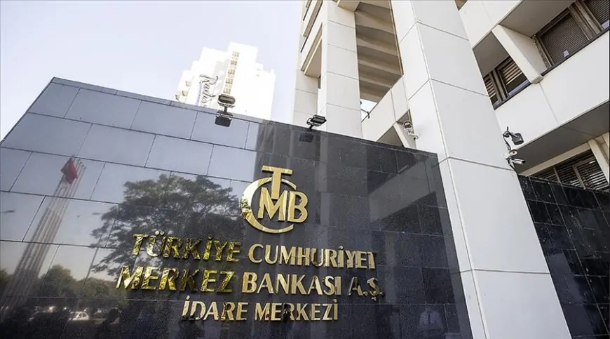 Merkez Bankası, İki Ödeme Şirketine Faaliyet İzni Genişletmesi Verdi