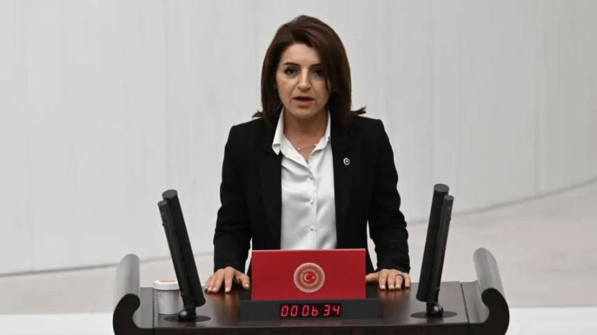 CHP Mersin Milletvekili Gülcan Kış: 'AKP İktidarı Hukukun Arkasından Dolanmakta Mahir'