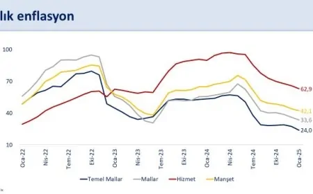 Mehmet Şimşek: "Ocak Ayında Yıllık Enflasyon Yüzde 42,1’e Geriledi"
