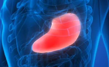 Karaciğer Kanseri Vakalarında Büyük Artış: Uzmanlar ‘Sessiz Salgın’ Uyarısı Yapıyor!