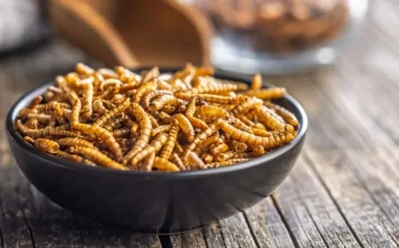 AB'den yeni gıda kararı: Ultraviyole işlem görmüş un kurdu larvasına onay