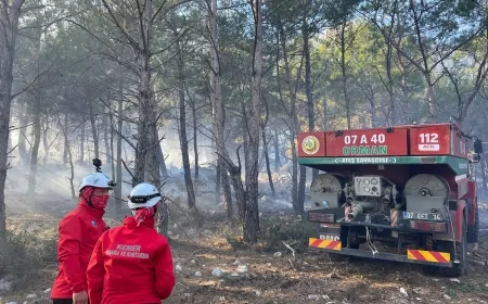 Antalya'da Orman Yangını Kontrol Altına Alındı! İşte Son Durum