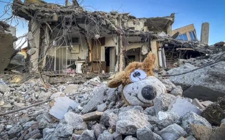 Bahçeli: 'Deprem bölgesini eskisinden daha güvenli hale getirmek haysiyet meselemizdir'