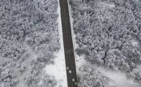 İstanbul'da Kar Yağışı Etkili Oldu, Aydos Ormanı Beyaza Büründü!