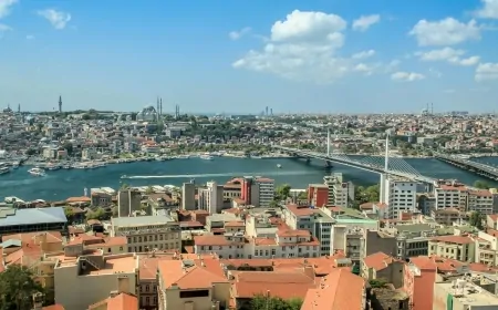 İstanbul'un Nüfus Yapısında En Çok Hangi İlden İnsan Yaşıyor? Sivas, Kastamonu, Ordu, Giresun, Tokat...