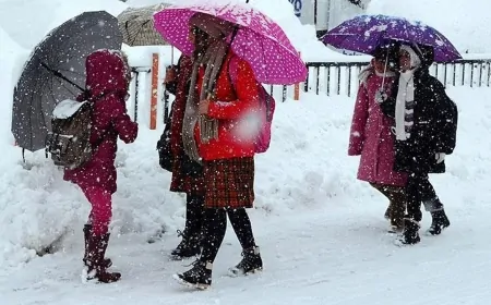 Türkiye genelinde kar yağışı eğitime engel oldu! 7 Şubat Cuma günü okullar tatil edildi