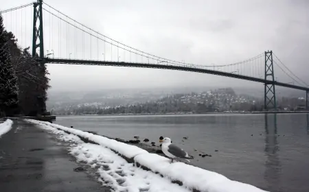 İstanbul'da Kar Engeli: 7 İlçede Okullar Tatil Edildi