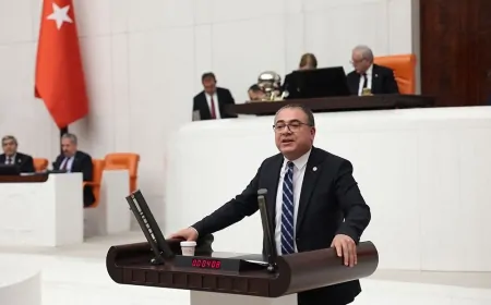 CHP Aydın Milletvekili Evrim Karakoz: 'Zeytin üreticisi de çiftçi de bitme noktasına geldi'