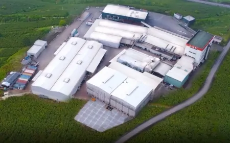 Balsu Gıda halka arz detayları: Katılım endeksi, bankalar ve lot bilgisi