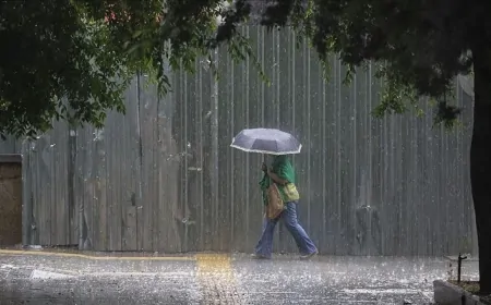 Türkiye'nin en yağışlı ve en kurak illeri açıklandı! Zirve değişmedi
