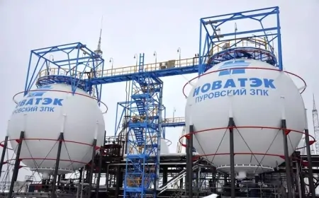 Novatek'in Net Karı 553 Milyar Rubleye Ulaştı, Gelirlerde Dikkat Çeken Artış