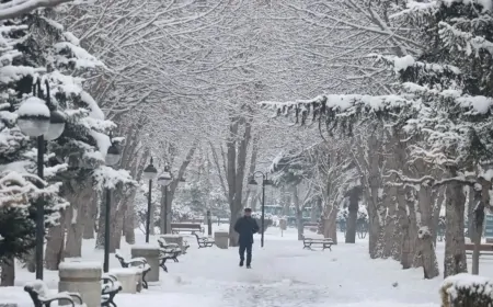 İstanbul’da Kar Yağışı Etkisini Artırdı: 7 İlçeye Sarı Kodlu Uyarı