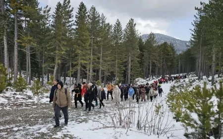 Anamas Dağı'nda 237 Doğa Tutkunu Kar Yürüyüşü Gerçekleştirdi