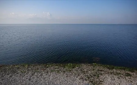 Ege'deki Depremler Sonrası Tsunami Riski: AFAD'dan Açıklama