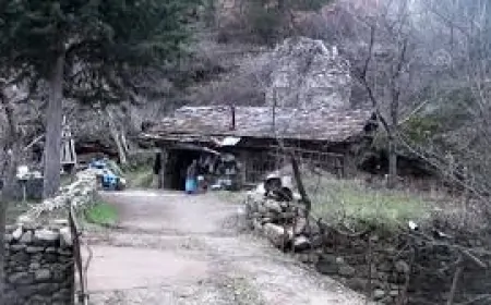 Manisa'da 200 Yıllık Değirmen Yeniden Çalışmaya Başladı