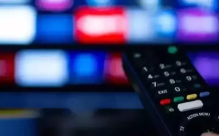 Bugün Hangi Diziler ve Programlar Var? 12 Şubat 2025 TV Yayın Akışı Güncellendi