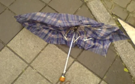 Kırılan şemsiyeleri çöpe atmayın, işte yeniden değerlendirmenin yolları!