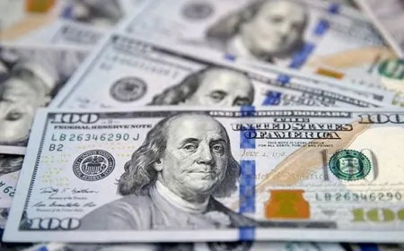 Prof. Abdullah T.Antepli: 'FETÖ Milyarlarca Doları Yurt Dışına Çıkardı'