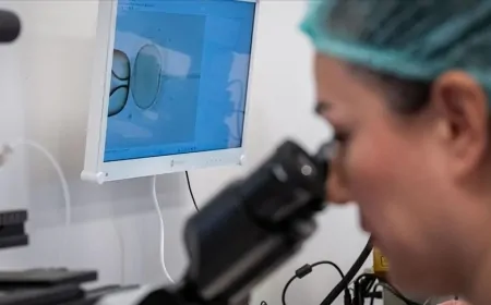 Türkiye'de tüp bebek tedavisine erişim adaletsiz mi? Milyonlarca aile zorluklarla karşılaşıyor