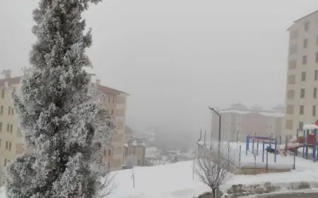 Muş’ta kar yağışı ve soğuk hava etkili olacak