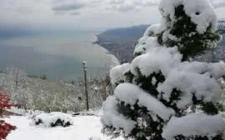 Ordu’da karla karışık yağmur ve yağışlar etkili olacak