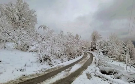 Artvin’de yağmur ve yüksek kesimlerde kar yağışı bekleniyor