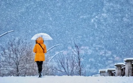 Ordu’da yağmur ve yüksek kesimlerde kar yağışı bekleniyor