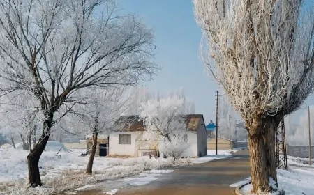 Ağrı’da dondurucu soğuk ve kar yağışı etkili olacak