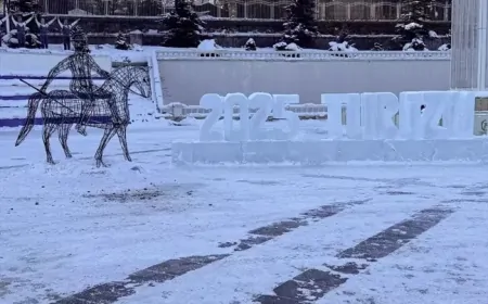Ardahan’da dondurucu soğuk ve kar yağışı etkili olacak