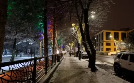 Bingöl’de yoğun kar yağışı bekleniyor: İşte ilçe ilçe hava durumu