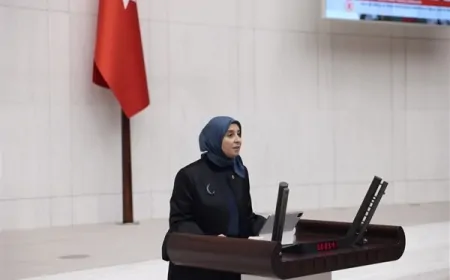 DEVA Partili Elif Esen: 'Adalet Akademisi savunma makamını zayıflatıyor, yürütmenin etkisi durdurulmalı'