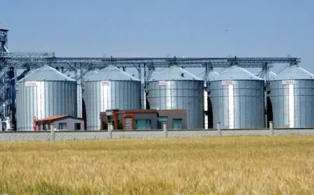 Lisanslı Depoculuk Kapasitesi 12 Milyon Tonu Aştı