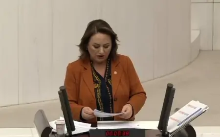 CHP Adana Milletvekili Müzeyyen Şevkin: 'İliç Maden Faciası, Denetimsizliğin ve Aşırı Üretimin Bedelidir'