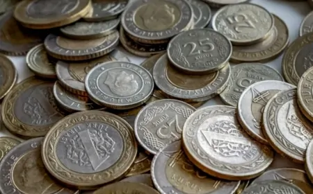 Cebinde 1 TL olan hemen kontrol ediyor! 2014 basım hatalı paralar değer kazandı!